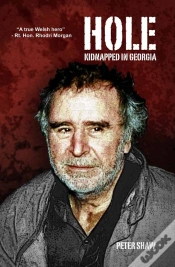 Capa do artigo Hole