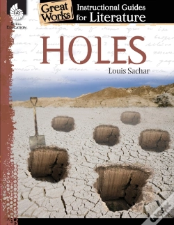 Capa do artigo Holes