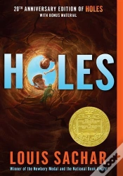 Capa do artigo Holes