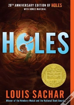 Capa do artigo Holes