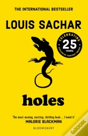 Capa do artigo Holes