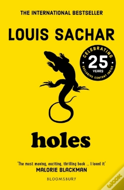 Capa do artigo Holes
