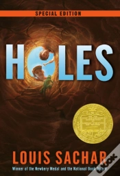 Capa do artigo Holes