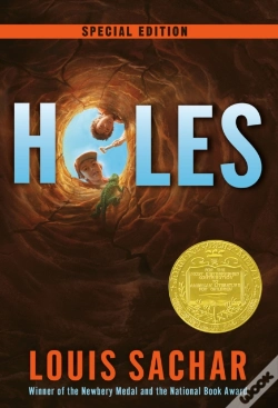 Capa do artigo Holes