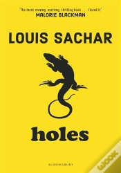 Capa do artigo Holes