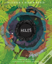 Capa do artigo Holes