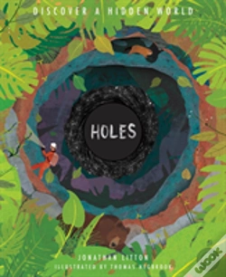 Capa do artigo Holes