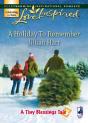 Holiday To Remember - Preview