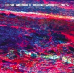 Capa do artigo Holkham Drones - CD