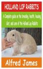 Holland Lop Rabbits - Preview
