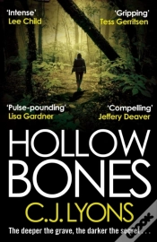 Capa do artigo Hollow Bones