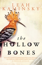 Capa do artigo Hollow Bones