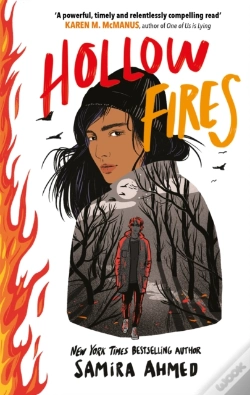 Capa do artigo Hollow Fires