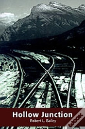 Capa do artigo Hollow Junction