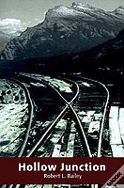 Capa do artigo Hollow Junction
