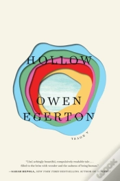 Capa do artigo Hollow