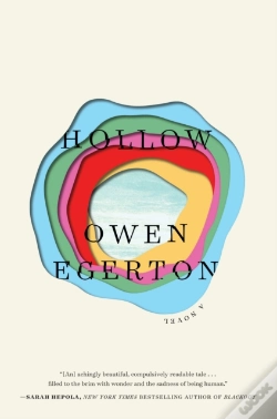 Capa do artigo Hollow