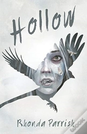 Capa do artigo Hollow