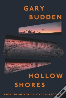 Capa do artigo Hollow Shores