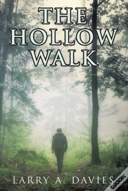 Capa do artigo Hollow Walk