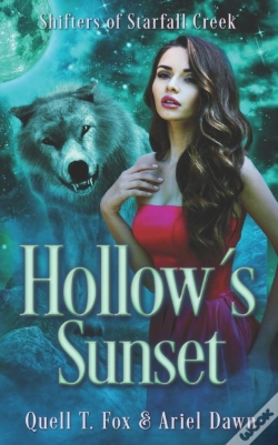 Capa do artigo Hollow'S Sunset