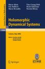 Holomorphic Dynamical Systems - Preview