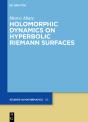 Holomorphic Dynamics On Hyperbolic Riemann Surfaces - Preview