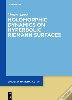 Capa do artigo Holomorphic Dynamics On Hyperbolic Riemann Surfaces