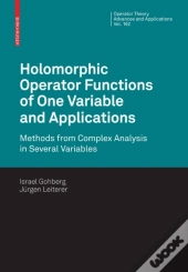 Holomorphic Operator Functions Of One Variable And Applications