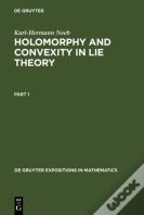 Holomorphy And Convexity In Lie Theory