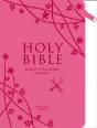 Holy Bible - Preview