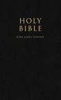 Holy Bible - Preview