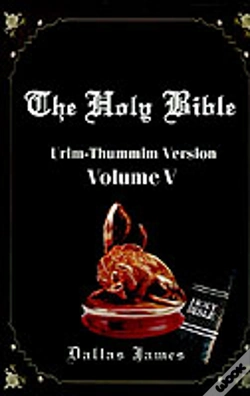 Capa do artigo Holy Bible