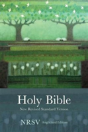 Holy Bible Nrsv Anglicized - Preview