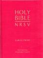 Holy Bible Nrsv - Preview