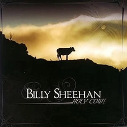 Capa do artigo Holy Cow! - CD
