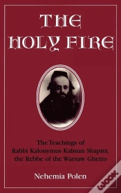 Capa do artigo Holy Fire