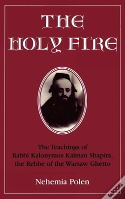 Capa do artigo Holy Fire