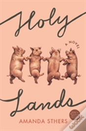 Capa do artigo Holy Lands
