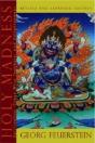 Holy Madness - Revised And Expanded Edition - Preview