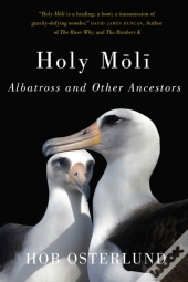 Holy Moli