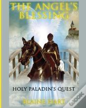 Holy Paladin'S Quest
