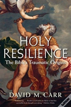 Capa do artigo Holy Resilience