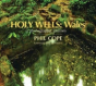 Holy Wells: Wales - Preview