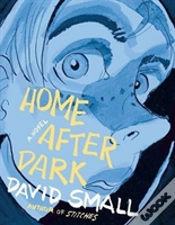 Capa do artigo Home After Dark