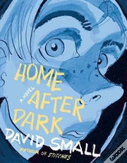 Capa do artigo Home After Dark