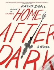 Capa do artigo Home After Dark