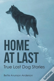 Capa do artigo Home At Last