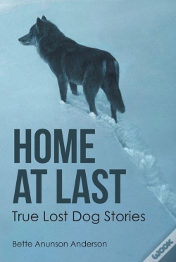 Capa do artigo Home At Last