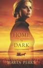 Home By Dark - Preview